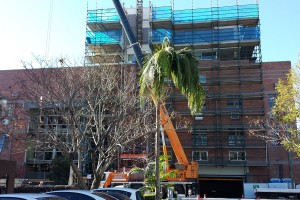 Teneriffe Apartments