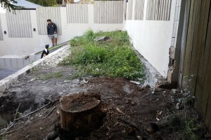 2017-04-19 06.39.51-2